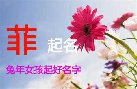 菲的意思名字|菲字取名女孩,带菲字有寓意的女孩名字大全,含菲字好。